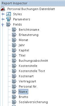 JasperReports-Handbuch iReport-Feld Name.jpg