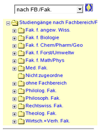 BI GDBB Studiengang Studiengangsmenue 2.png