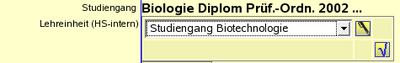BI GDBB Studiengang Unterformular 2.png